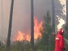 Respostas perante risco de incêndio florestal