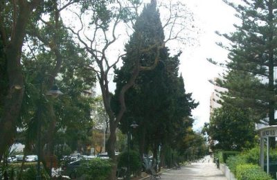 Faro adjudicou manutenção de espaços verdes na cidade