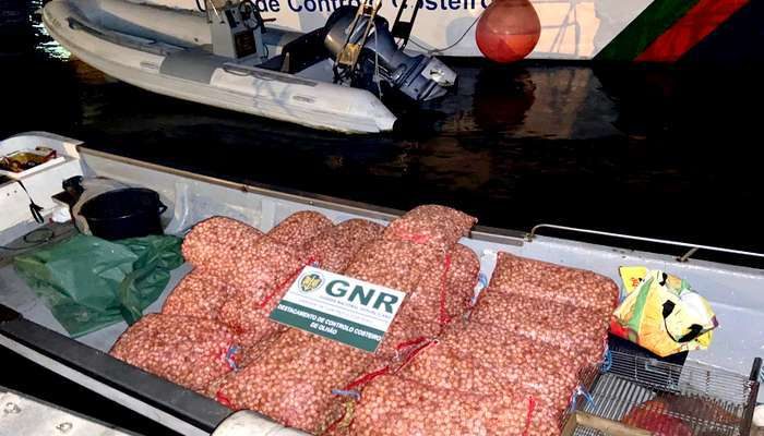 GNR apreendeu 500 Kg de berbigão por apanha ilegal