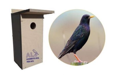 Município de Lagoa promove o Alojamento Local para Aves