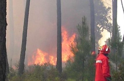 Respostas perante risco de incêndio florestal